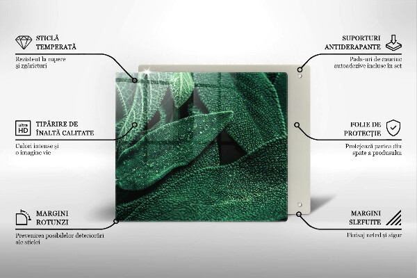 De vidrio templado Las hojas de la planta