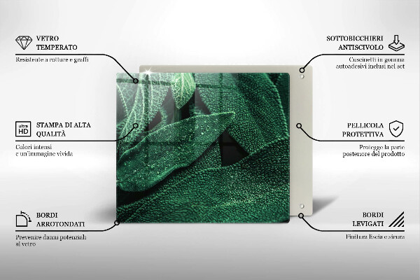 De vidrio templado Las hojas de la planta
