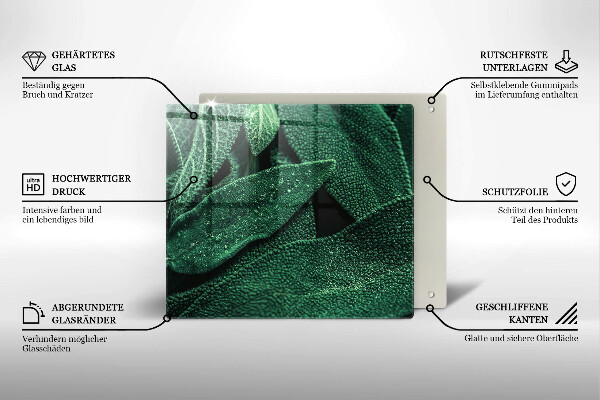 De vidrio templado Las hojas de la planta