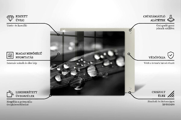 De vidrio templado Gotas de rocío sobre las hojas