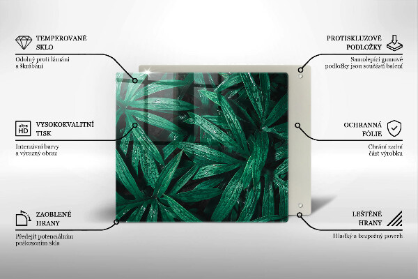 De vidrio templado Hojas de plantas