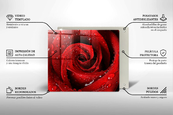 De vidrio templado Pétalos de rosas