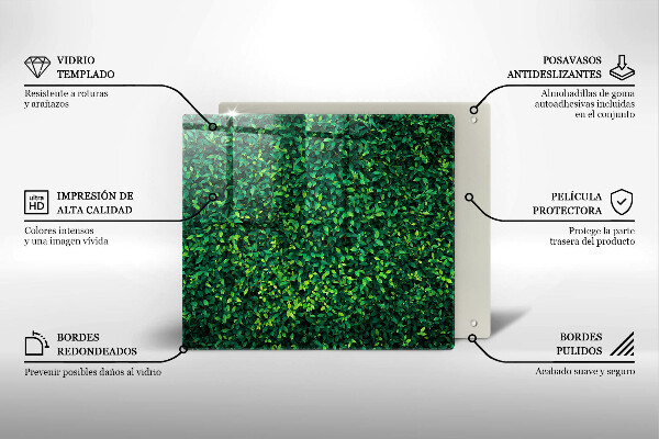 De vidrio templado Planta con hojas pequeñas