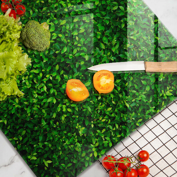 De vidrio templado Planta con hojas pequeñas