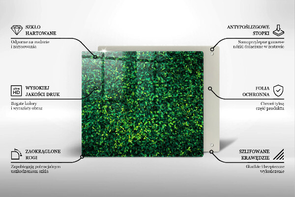 De vidrio templado Planta con hojas pequeñas