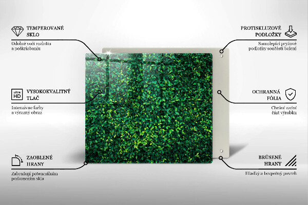 De vidrio templado Planta con hojas pequeñas