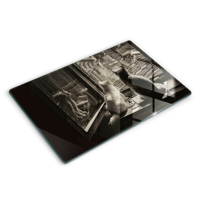 Tabla de cortar de vidrio Ventana y ciudad de gatos