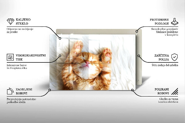 Tabla de cortar de vidrio Pequeño gatito lindo