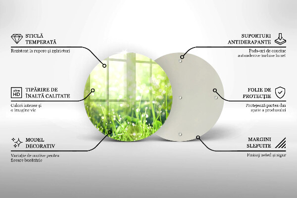 De vidrio templado Naturaleza - hierba y rocío