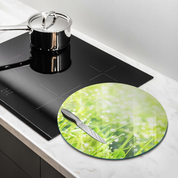 De vidrio templado Naturaleza - hierba y rocío