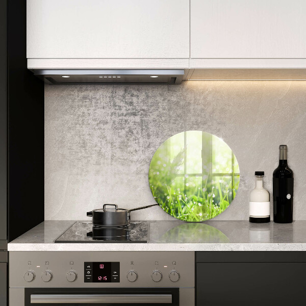 De vidrio templado Naturaleza - hierba y rocío