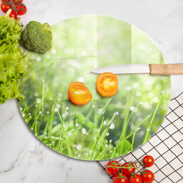 De vidrio templado Naturaleza - hierba y rocío