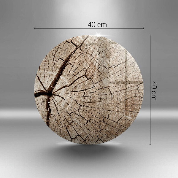 De vidrio templado Sección transversal de un árbol