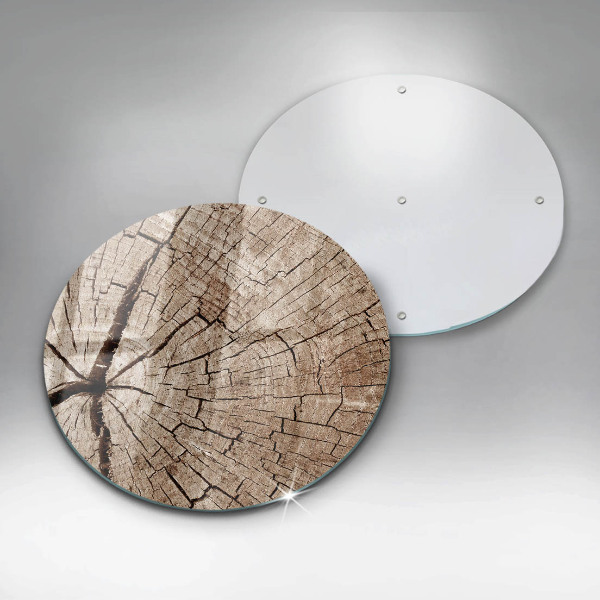 De vidrio templado Sección transversal de un árbol