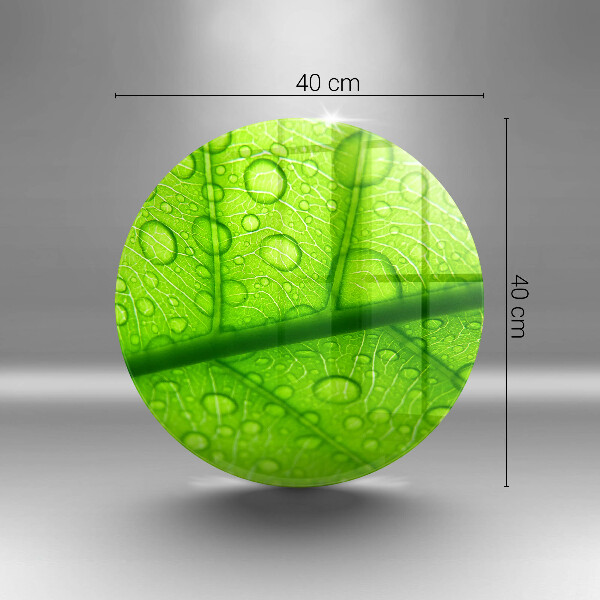 De vidrio templado Primer plano de una hoja