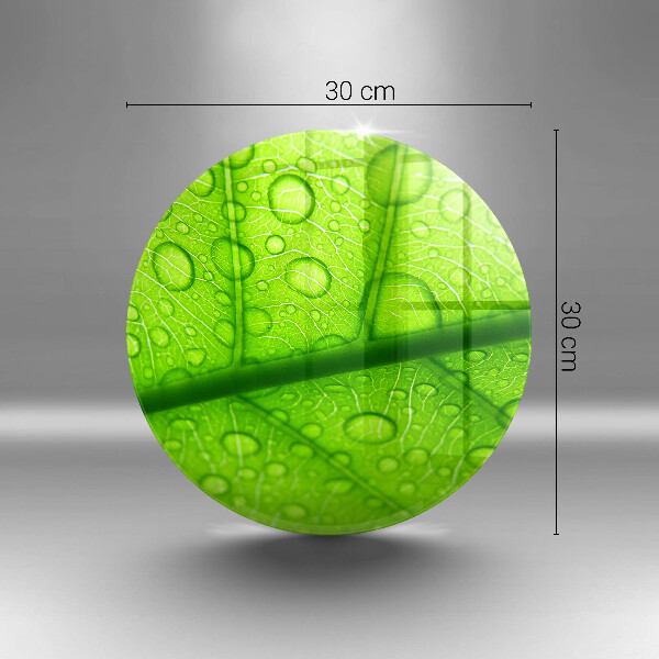 De vidrio templado Primer plano de una hoja