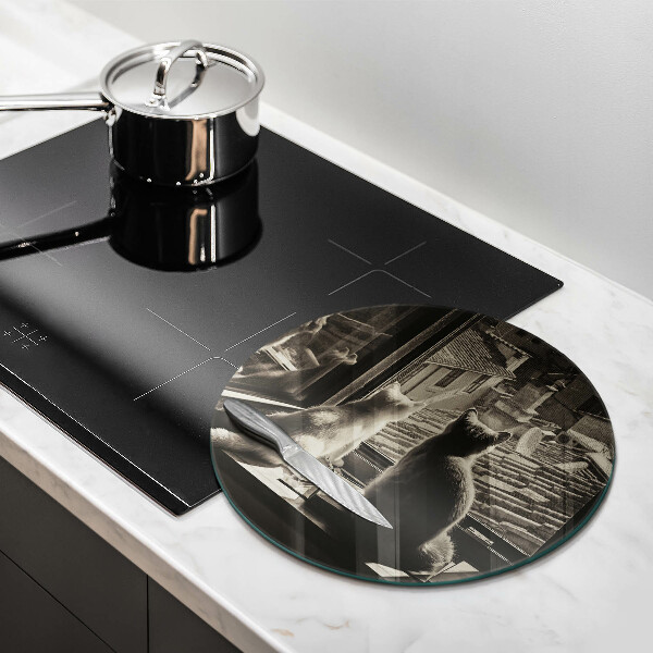 De vidrio templado Ventana y ciudad de gatos