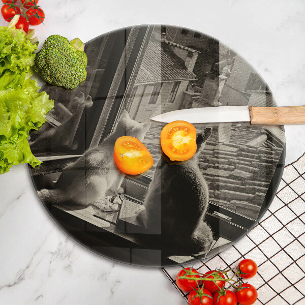 De vidrio templado Ventana y ciudad de gatos