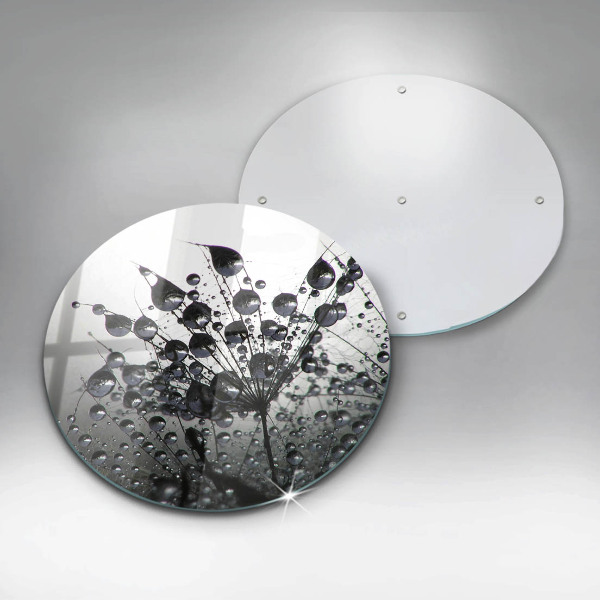 De vidrio templado Dientes de león y rocío