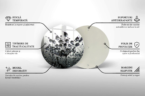 De vidrio templado Dientes de león y rocío