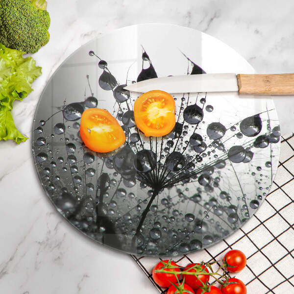 De vidrio templado Dientes de león y rocío