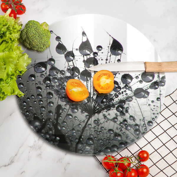 De vidrio templado Dientes de león y rocío