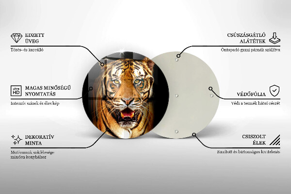 De vidrio templado Tigre animal salvaje