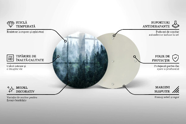 De vidrio templado Árboles forestales y niebla