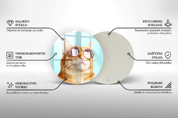 De vidrio templado Gato rojo con gafas