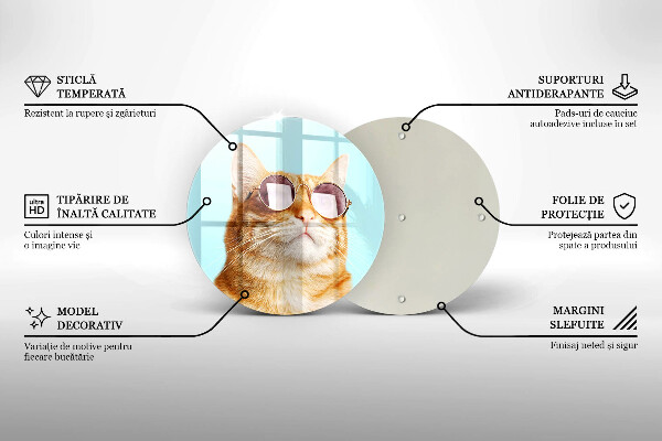 De vidrio templado Gato rojo con gafas