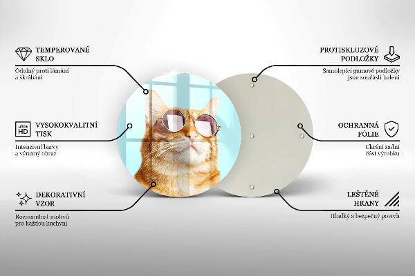 De vidrio templado Gato rojo con gafas