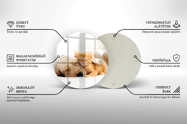 De vidrio templado Animales perro y gato