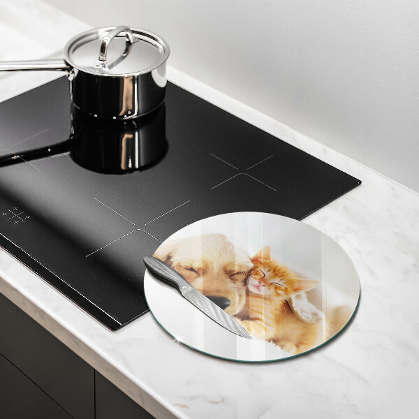 De vidrio templado Animales perro y gato