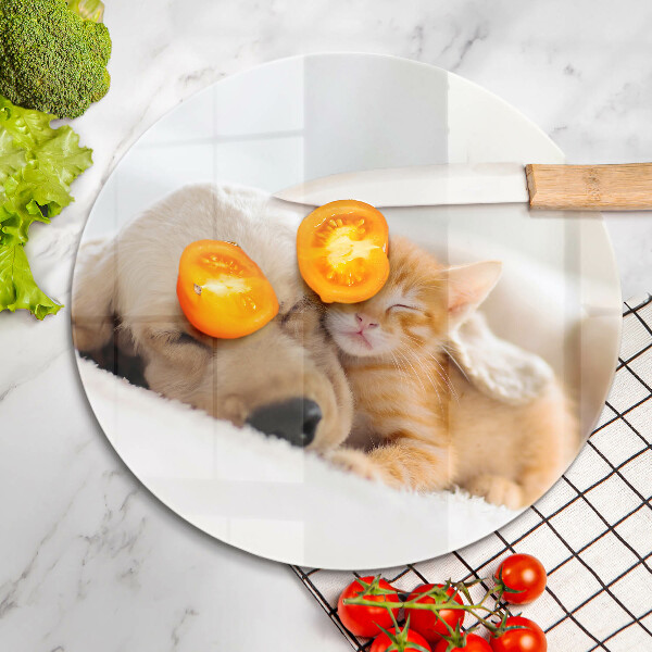 De vidrio templado Animales perro y gato