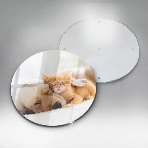 De vidrio templado Animales perro y gato