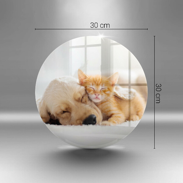 De vidrio templado Animales perro y gato