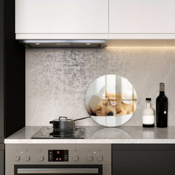 De vidrio templado Animales perro y gato