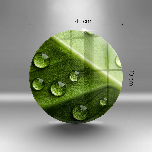 De vidrio templado Hoja y rocío de la naturaleza