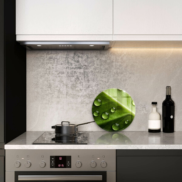 De vidrio templado Hoja y rocío de la naturaleza