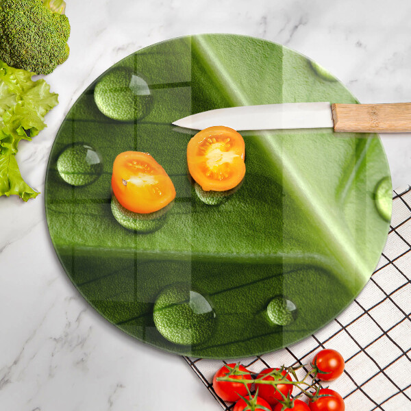 De vidrio templado Hoja y rocío de la naturaleza