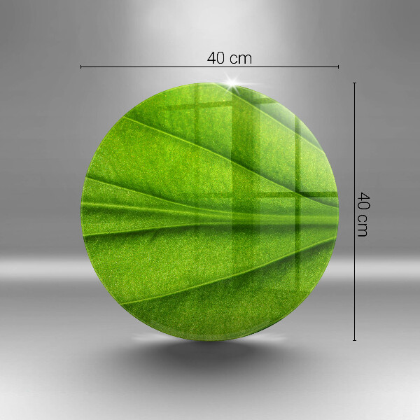 De vidrio templado Hoja de vena natural