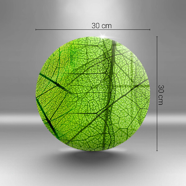 De vidrio templado Venas de las hojas naturales