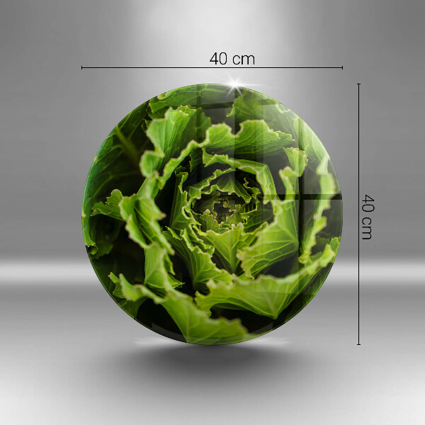 De vidrio templado Comer hojas de lechuga