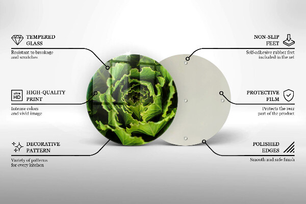 De vidrio templado Comer hojas de lechuga