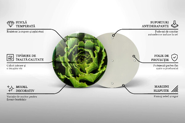 De vidrio templado Comer hojas de lechuga