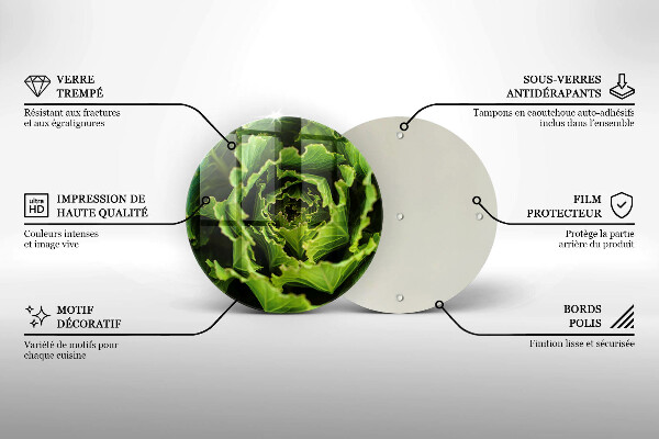 De vidrio templado Comer hojas de lechuga