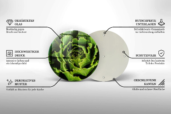 De vidrio templado Comer hojas de lechuga