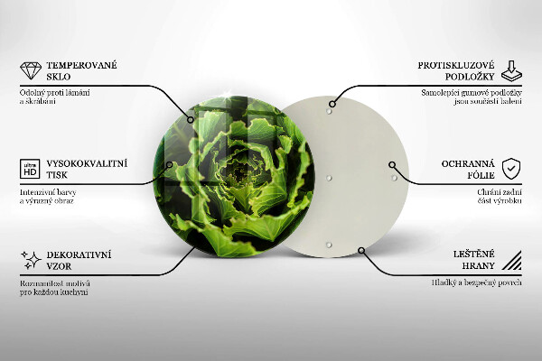 De vidrio templado Comer hojas de lechuga