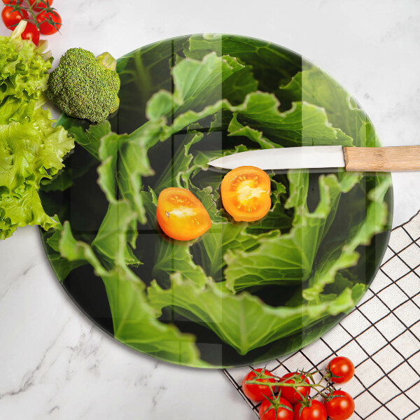 De vidrio templado Comer hojas de lechuga