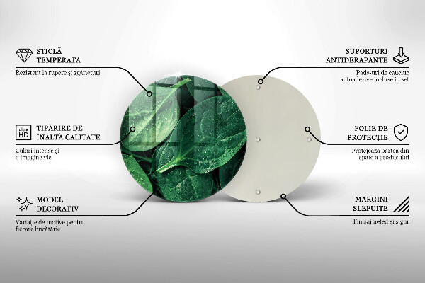 De vidrio templado Hojas de albahaca